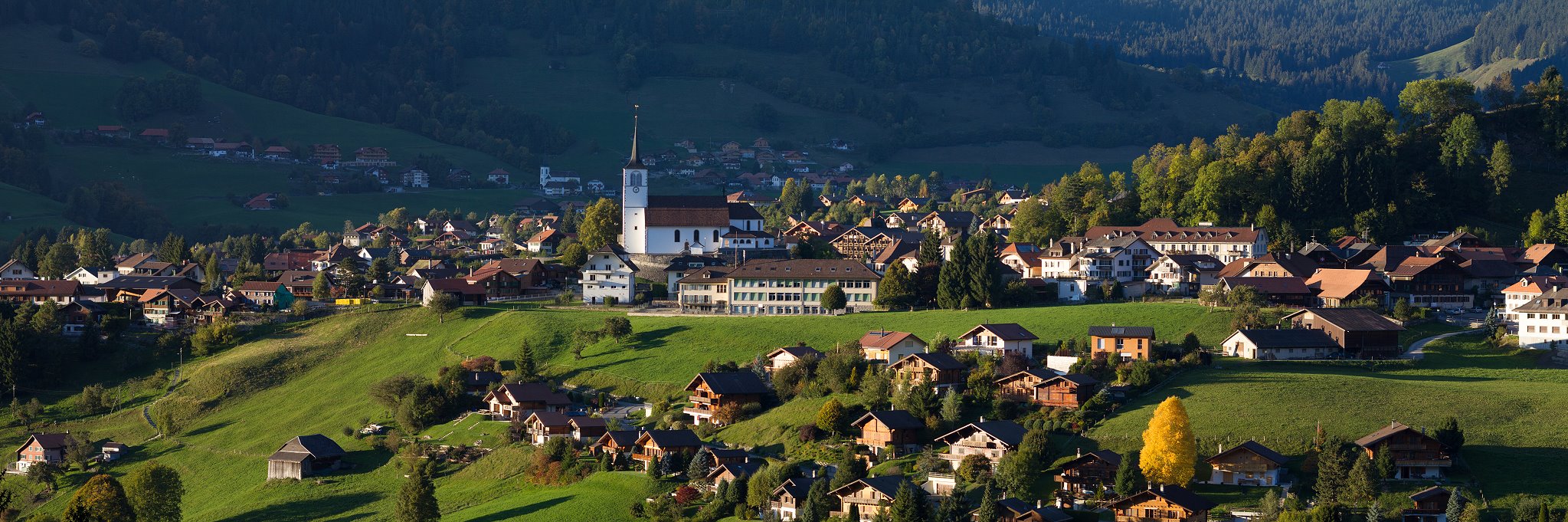 The village of Charmey in the Swiss Prealps.